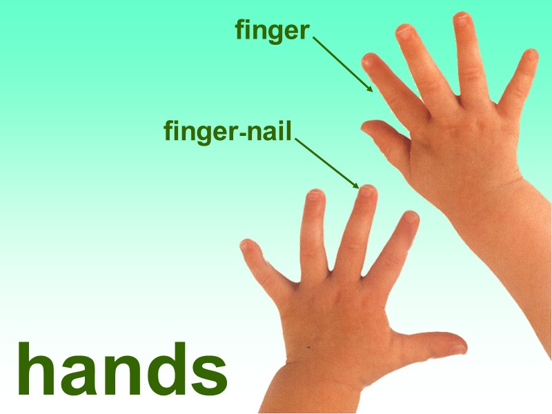 finger finger-nail hands